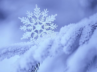 silver snowflake HD wallpaper